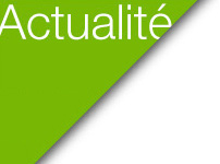 Actualité